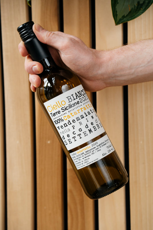 Ciello Bianco, Ciello 2024