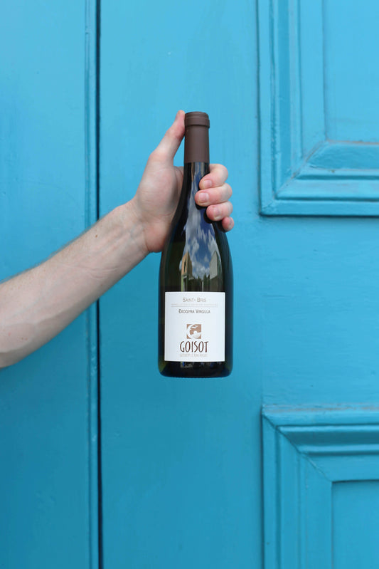 Sauvignon Exogyra Virgula, Goisot 2017