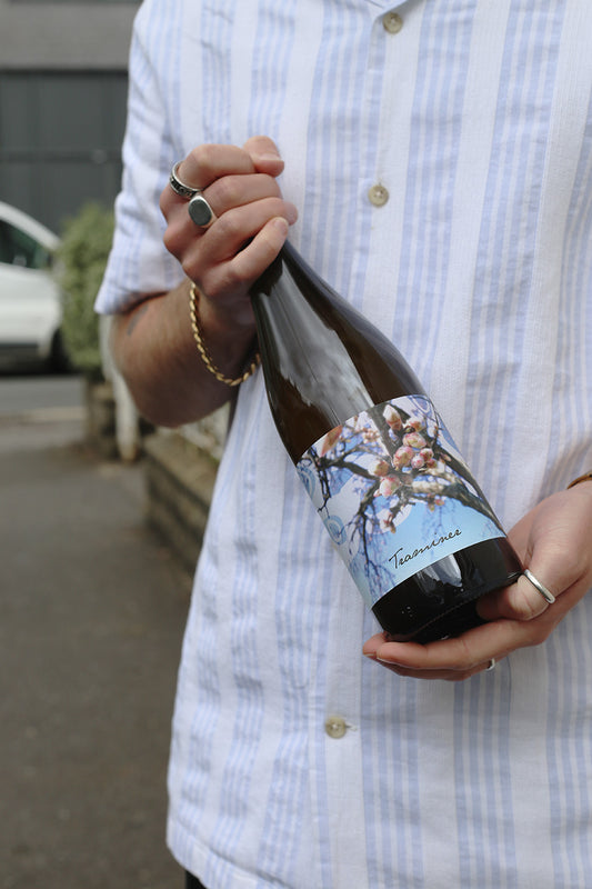 Traminer, Judith Beck 2025