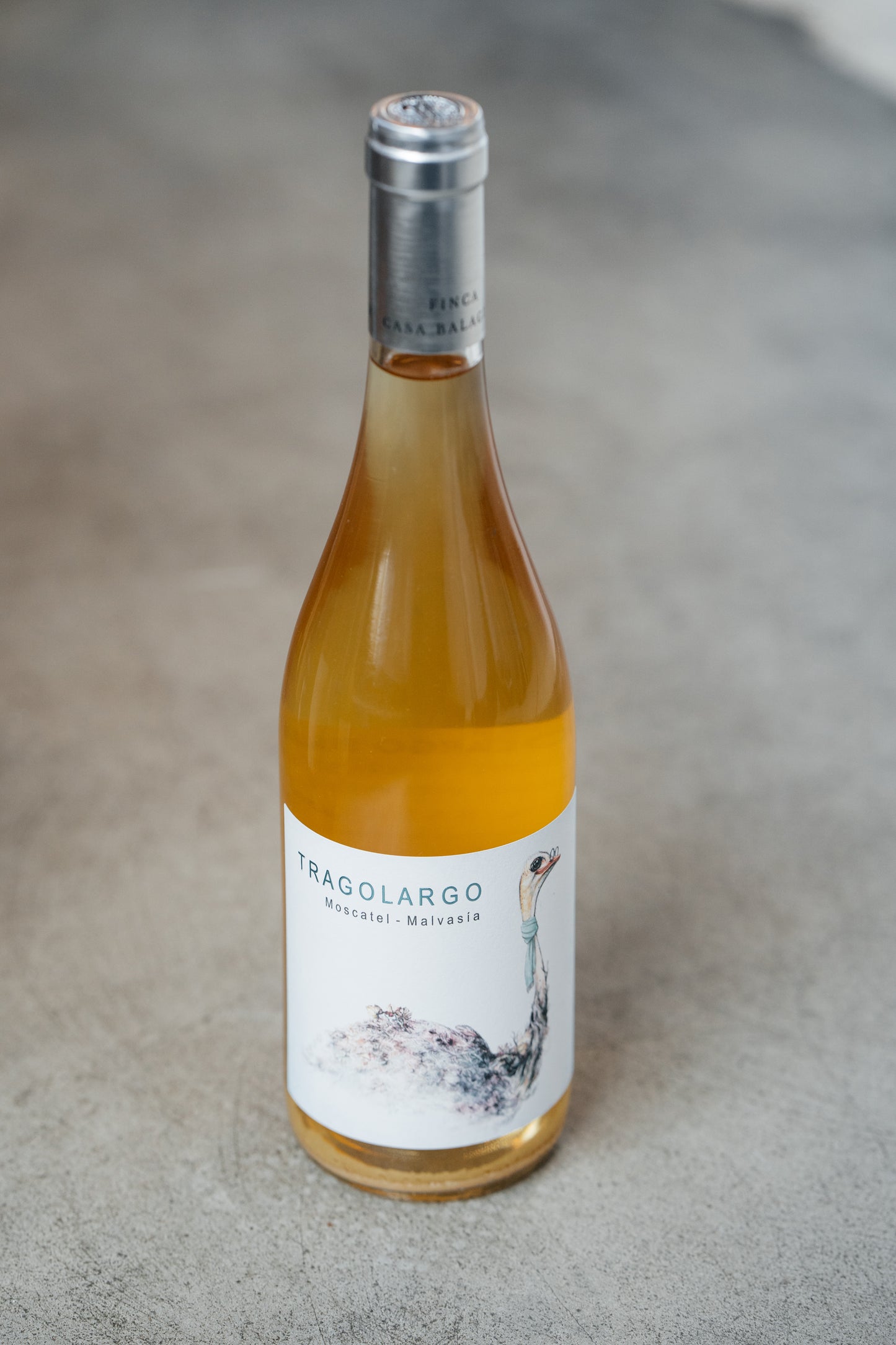 Tragolargo Blanco, Finca Casa Balaguer 2023