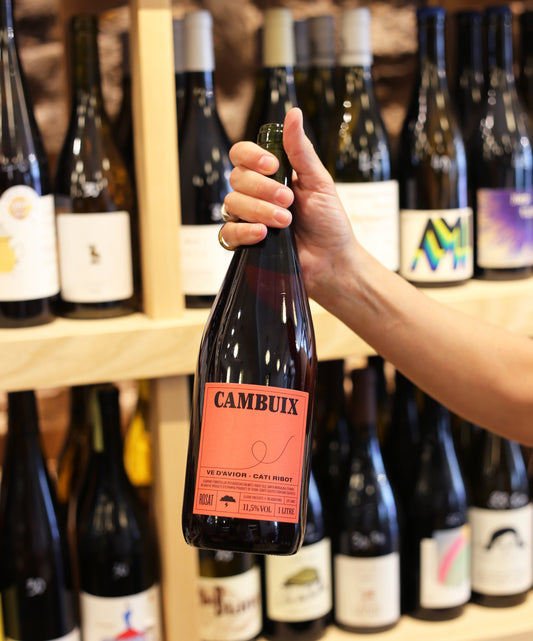 Cambuix Rose, Cati Ribot 2022